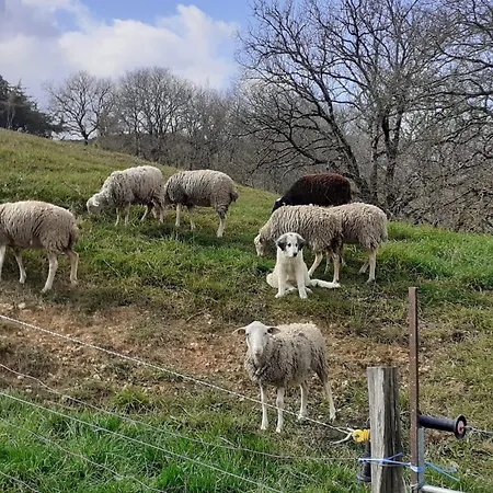 Ferme De La Luna Дом отдыха Lafage