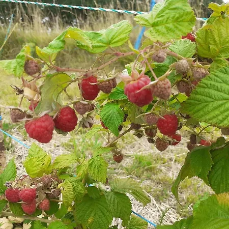 Ferme De La Luna Hébergement de vacances *